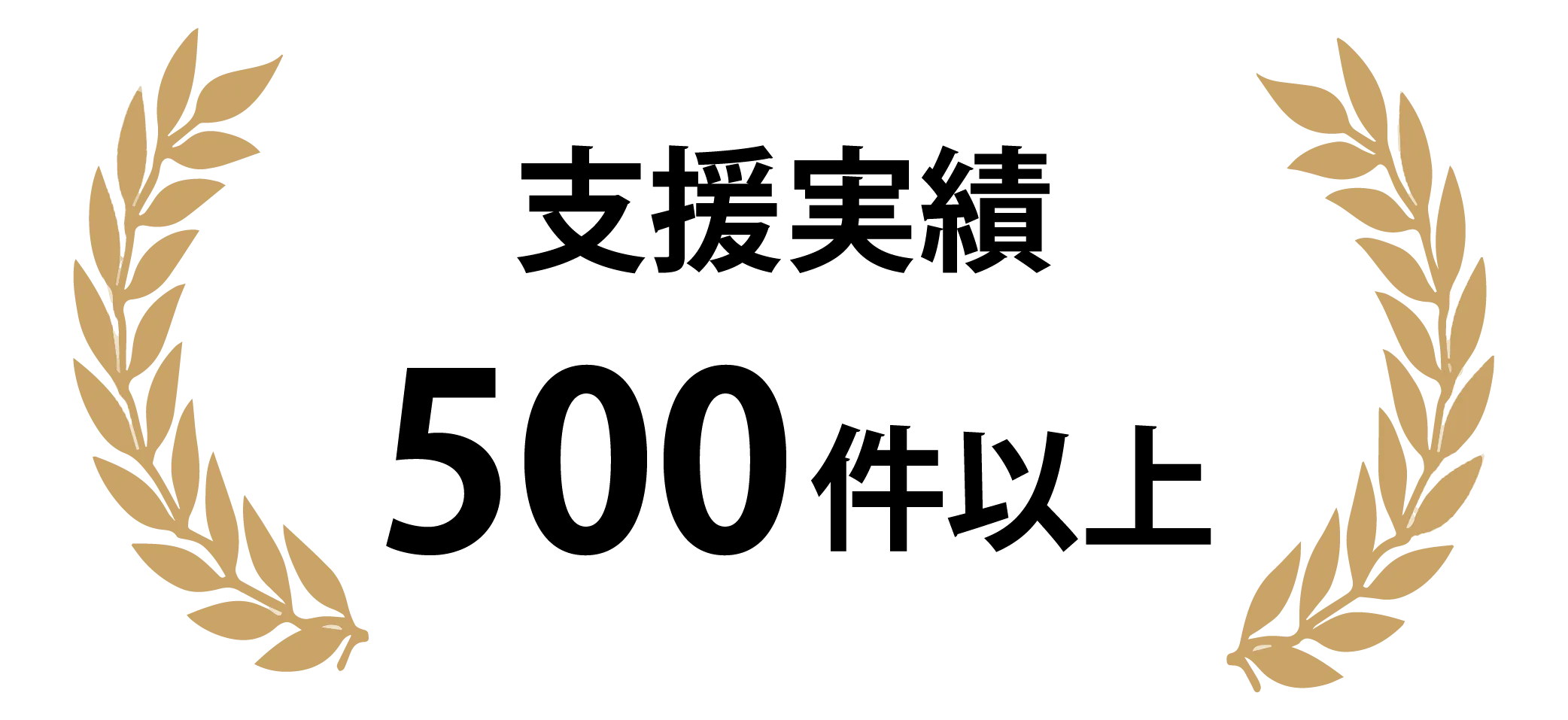 支援実績